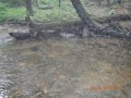 fowlers hollow.Laural run 06-09-14 030